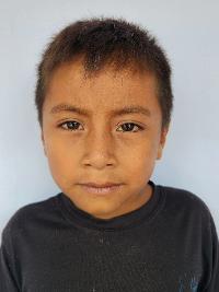 Photo of Bruno